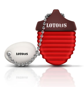 فلش مموری لوتوس مدل Maple ظرفیت 64گیگابایت