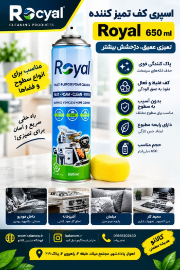 اسپری کف تمیزکننده Royal ۶۵۰ml